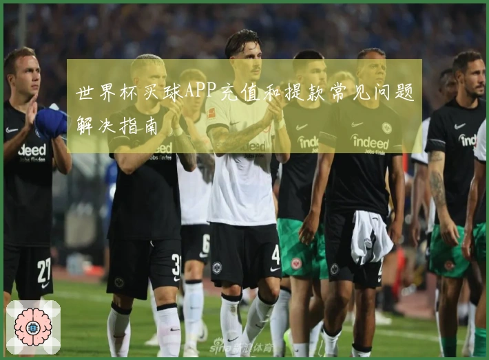 世界杯买球APP充值和提款常见问题解决指南