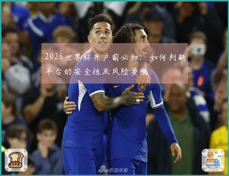 2026世界杯开户前必知：如何判断平台的安全性及风险要点