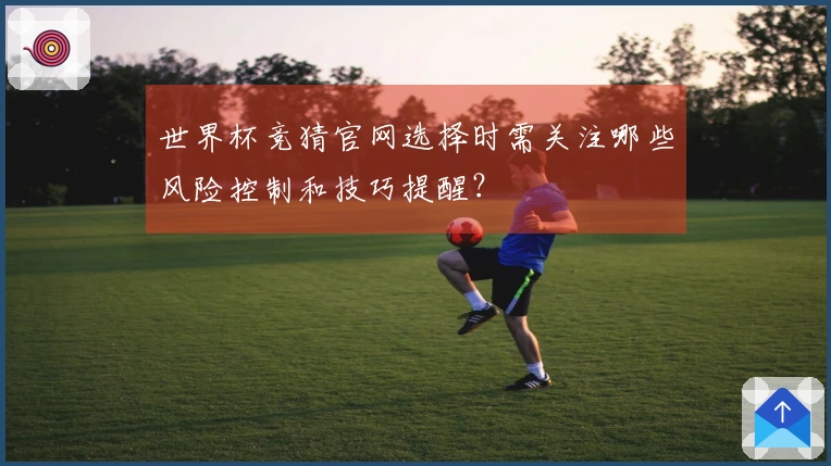 世界杯竞猜官网选择时需关注哪些风险控制和技巧提醒？