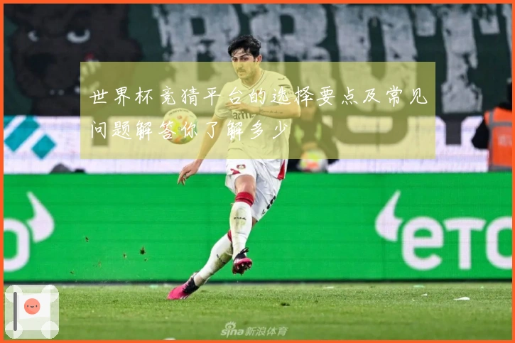 世界杯竞猜平台的选择要点及常见问题解答你了解多少