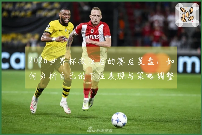 2026世界杯投注后的赛后复盘，如何分析自己的下注表现与策略调整