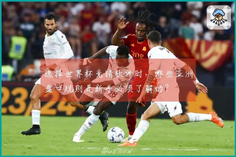 选择世界杯竞猜软件时，哪些亚洲盘口规则是新手必须了解的？