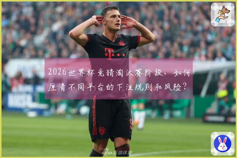 2026世界杯竞猜淘汰赛阶段，如何厘清不同平台的下注规则和风险？
