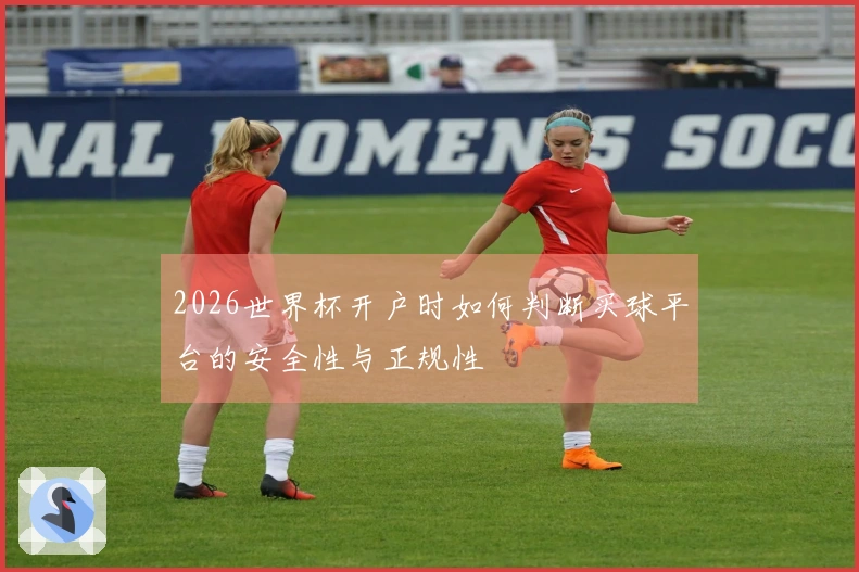 2026世界杯开户时如何判断买球平台的安全性与正规性