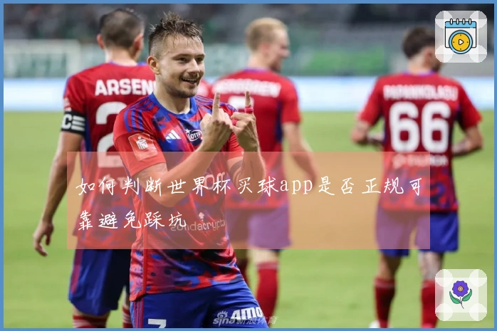 如何判断世界杯买球app是否正规可靠避免踩坑