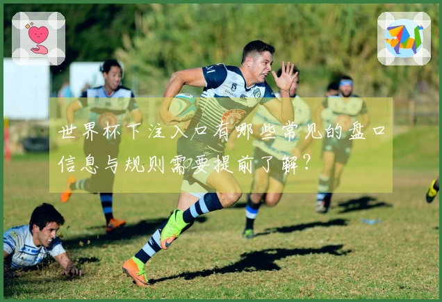 世界杯下注入口有哪些常见的盘口信息与规则需要提前了解？